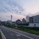 양지주유소 | 광명 광명사거리 맛집 넴넴 베트남쌀국수 반쎄오 만족한 식사 후기