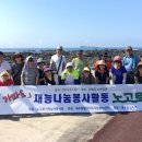 노고로기