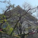 2025 토요명품 이미지