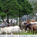 충렬축산 이미지