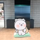 아세안무역 | 2024 아세안 무역 전시회 코엑스 터플라츠 후기(feat. 토끼찡 곰돌찡)