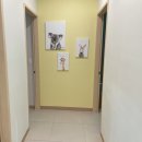 센스 치과의원 이미지