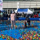 부산자갈치 이미지