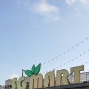 초이스퀸 이미지