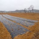 삼웅1리 마을회관 이미지