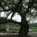 단산2리 경로당 이미지