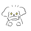 도그프렌즈 이미지