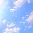 희망가득교실(한글) | 아이와 가볼만한곳] 국립한글박물관 주차 꿀팁 &amp; 국립...어린이박물관 도보 이동 및 예약 필수 후기!