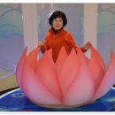 콩돌해변 Daum카페