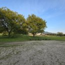 게이트볼장옆 이미지