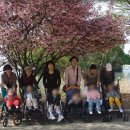 화니어린이집 이미지