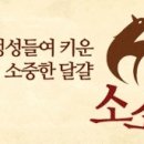 소소더하기 이미지