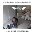 댕 빌리지 | 랜즈 스위트 레지던스 조식, 몽창 카페(코끼리 빌리지), 진리의 성전(복장, 시간), 파타야 터미널21...