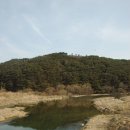 운봉교 Daum카페