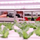 천마마을관리 사회적협동조합 이미지