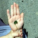 개화초등학교 이미지