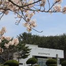 문화예술회관 진입로 이미지