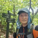 한길 치악산(1,288m) 능주산행~(금대분소 영원사 상원사 남대봉 향로봉 비로봉 구룡사 구룡사 주차장) ~ 이미지