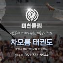 금빛 호랑이 태권도 이미지