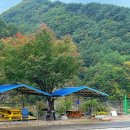 강과산이 아름다운 한옥펜션 이미지