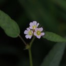 불암초등학교 이미지