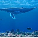 ㈜미디어인 이미지