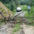 연일농장 이미지