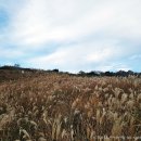 왕인박사유적지 월악루 이미지