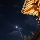 미카사(MICASA) | [행궁동 식당] 분위기 좋고 양식이 맛있는 데이트 맛집 '미카사 행궁'