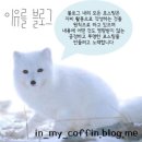 서울상록회관우체국