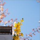 학운공원 이미지