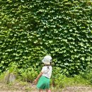 물고기나무 | 파주 헤이리마을 아이랑 토끼먹이주기체험 석죽재물고기나무 솔직후기