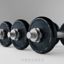 시랑생활체육관 네이버블로그
