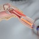 유이비인후과 이미지