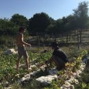 한세계농장 이미지