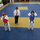 금강태권도장 - 청주시 흥덕구 월명로60번길 66-1 | 금강태권도장