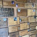 양지유황천 이미지