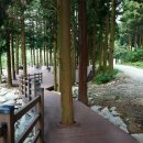 축령산숲마을