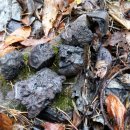 대적골제철유적 이미지