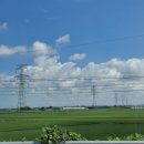 용인대 고려태권도장 이미지