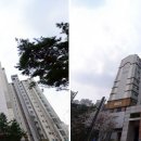 테크노로제비앙공인중개사사무소 매일경제