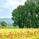 청주목장 이미지