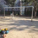 김포양도초등학교