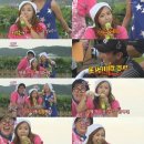 디스민박 이미지