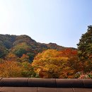 용문사 이미지