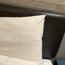 다이소 부산범천점 앞 | 고향통닭 닭똥집튀김 세트 솔직후기