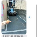 바디올로지필라테스&자이로토닉 | 대구 수성구 ‘바디올로지필라테스’ 후기