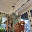 (주)메디움 | 망원동미용실 달콤헤어 마포망원점에서의 특별한 경험