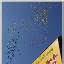 2012년 청원생명축제 자원봉사자 발대식 소원풍선 날리기. 이미지