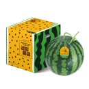 정읍단풍미인조합공동사업법인 이미지